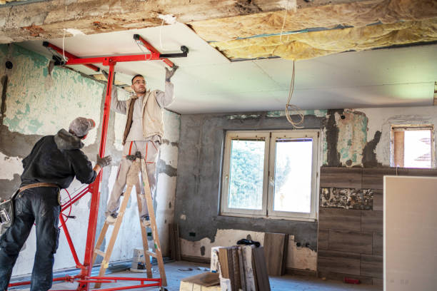 Best Insulation Maintenance and Repair in St Helena, CA